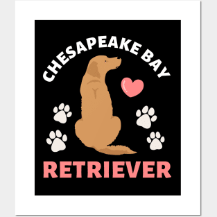 Chesapeake Bay retriever Cute Life is better with my dogs I love all the dogs Posters and Art